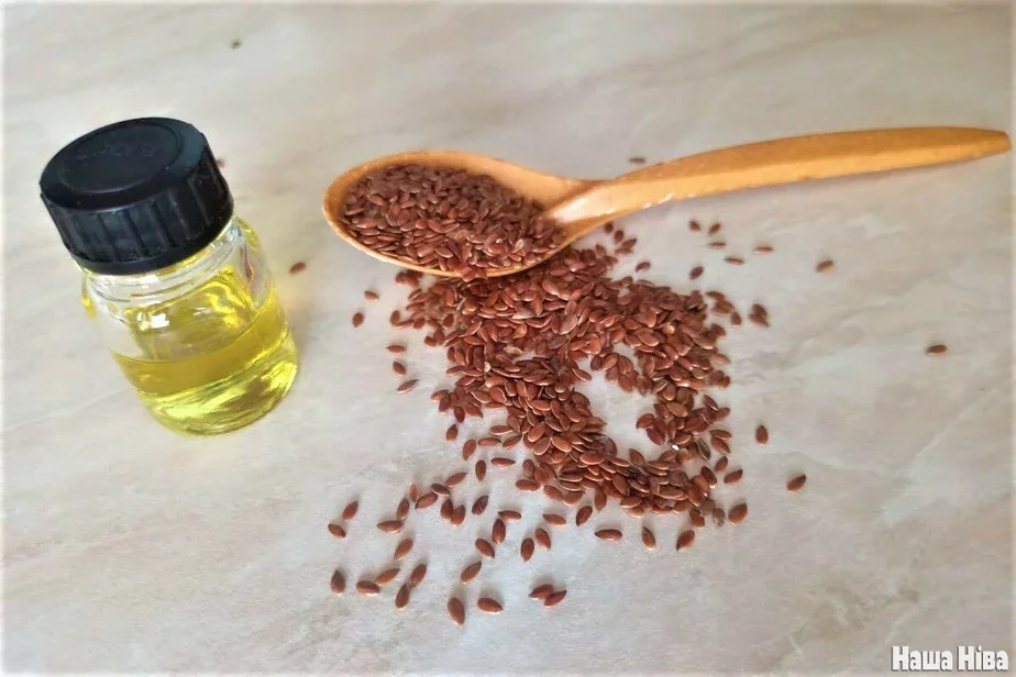 linen oil лен и льняное масло семя льна 