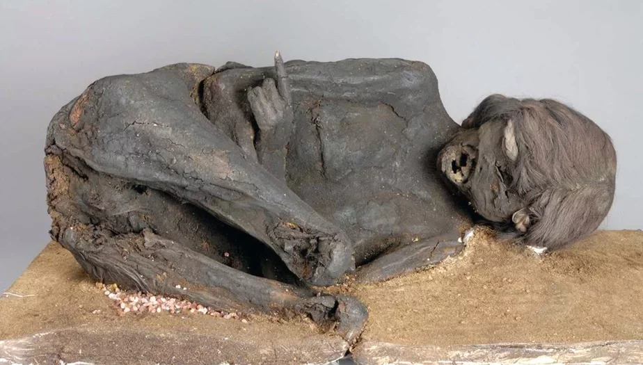 Mumija žančycy ź imieryi Inkaŭ Mumija žienŝiny iz impierii Inkov Mummy of a woman from the Inca Empire