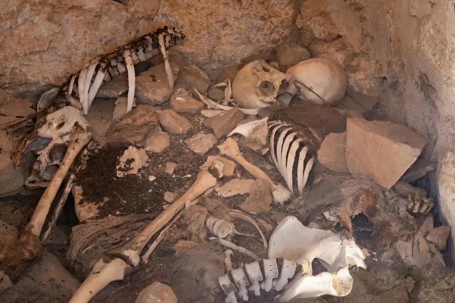 Ancient burial Staražytnaje pachavańnie Drievnieje zachoronienije